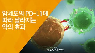 암세포의 PDL1에 따라 달라지는 약의 효과  20180808658회 방송 암과의 전쟁 면역항암제의 도전 [upl. by Lesser998]