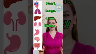 Human Body Internal Organs  English Vocabulary [upl. by Nyliram113]