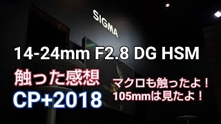 CP2018でシグマ1424mm F28 DG HSM触ってデータ持ち帰ったよ！マクロも触ったよ！ [upl. by Meehyrb486]