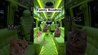 CAT MEMES 🐱Family Roadtrip P2 catmemes relatable shorts viralvideos [upl. by Lazar950]