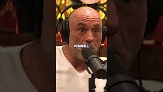 Joe Rogan Reacts to Donald Trump Defending George Washington [upl. by Leavitt]