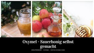 Oxymel  Sauerhonig selbst gemacht  mit zwei Rezepten [upl. by Paddie285]