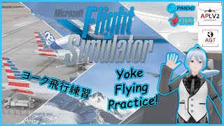 Yoke Flying Practice Pt2 ヨーク飛行練習 2【EN日本語🔰】【新人vtuber 】 [upl. by Amena668]