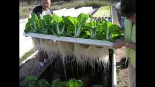 Indoor Aquaponics Systems DoItYourself Training  Aquaponics4u [upl. by Hinch]