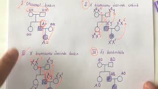 BiyolojiKalıtımSoyağaçları Soru Çözümü [upl. by Aniat]