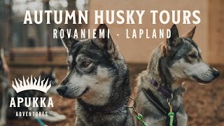 Autumn Husky Tours at Apukka Resort Not Just Winter Fun [upl. by Nylirrej]