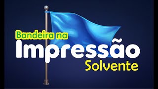 Dica de como imprimir tecido na ploter de impressão [upl. by Yettie]