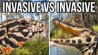 8 Invasive Species That Battle And Prey On Other Invaders [upl. by Sasnett]