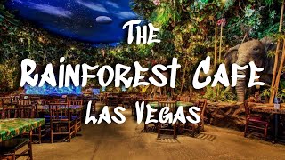 The Rainforest Cafe in Las Vegas  Indoor Thunderstorms and Jungle Vines [upl. by Eceirehs802]