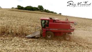 maize harvest 2016 Amani farmUasin Gishu County [upl. by Atnes]