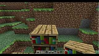 Truhen in Bücherregal verstecken Minecraft [upl. by Oeniri]