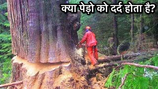 क्या पेड़ पौधों में सचमे फ़ीलिंग होती है [upl. by Aitnahs]