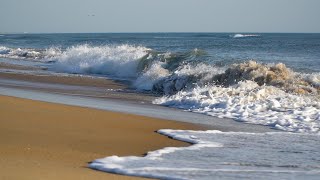 OBX Beach Report  4124  Outer Banks This Week [upl. by Bridge]