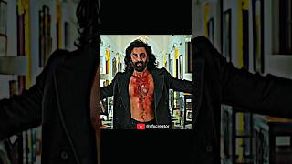 ANIMAL X KAAYI 👿• RANBIR KAPOOR ATTITUDE 4K QUALITY HDR PT7 animal ytshorts short [upl. by Eidna]