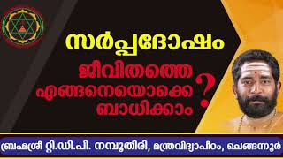 Sarpa dosha  സർപ്പദോഷം ജീവിതത്തെ എങ്ങനെയൊക്കെ ബാധിക്കാം [upl. by Saxet]