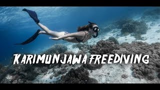 Karimunjawa Island Free Dive [upl. by Aiam419]