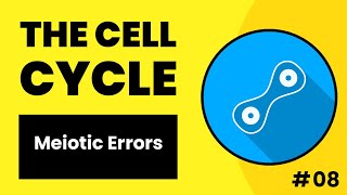 Cell Cycle  Meiotic Errors  Hindi  Urdu [upl. by Pomfret]