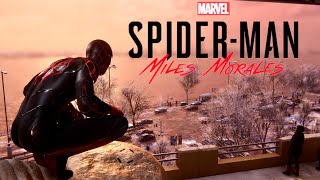 Marvels SpiderMan Miles Morales Friendly Neighborhood SpiderMan App [upl. by Folsom]