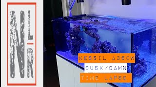 KESSIL A360W DuskDawn Time Lapse of the Waterbox Peninsula Dream Tank Build [upl. by Gracia967]