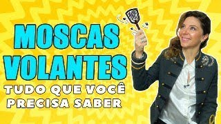 Moscas Volantes  Como Tratar Moscas Volantes [upl. by Arrekahs]