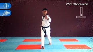 WT Taekwondo Black Belt Poomsae Chonkwon  품새 천권  TaekwonWoo [upl. by Abeu]