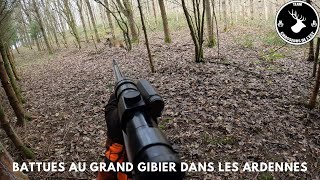 Battue au grands gibiers dans les Ardennes saison 20232024  Partie 1 [upl. by Stanzel]