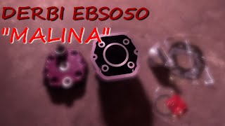 Cylinder Malina 90 Derbi EBS E07 [upl. by Notxarb164]