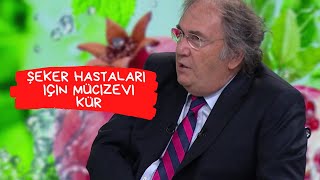 Şeker Hastalığı Olanlar İçin Kür Prof Dr Saraçoğlu [upl. by Roch128]