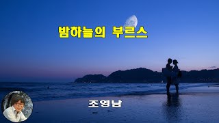 밤하늘의 부르스  조영남1975 가사lyrics 【번안곡】 [upl. by Iiette648]