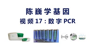 【陈巍学基因】视频17：数字PCR [upl. by Ididn796]