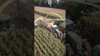 Retour sur ce chantier densilage XXL filmé en Mayenne en 2021 🌽 farming agriculture [upl. by Mansfield]