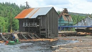 HullOakes Lumber 4 of 10  the debarking shed [upl. by Werda]