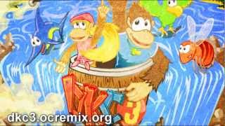 Donkey Kong Country 3 ReMix  Dixie Beat Let It Beat by Brandon Strader ft Usa [upl. by Gorey]