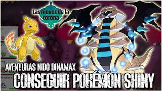 CONSEGUIR SHINY en AVENTURAS NIDO DINAMAX l CLÁSICOS Y LEGENDARIOS VARIOCOLOR l PROBABILIDADES TIPS [upl. by Ninaj790]