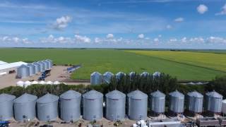 Canadian farmers Delage farms Indian Head Saskatchewan Canada 4K video MYAGROTOURS [upl. by Egrog]