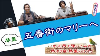 【大正琴】五番街のマリーペドロ＆カプリシャス 琴ゆり会琴葉 [upl. by Renckens36]