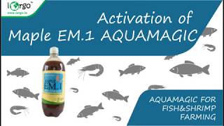 Maple EM1 Aquamagic Activation Process [upl. by Favrot]