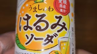 SANGARIA 愛媛県産果汁 うましゅわはるみソーダ はるみのさわやかな味わいとはじける爽快感！ 果汁1 炭酸飲料 ●内容量：500ml [upl. by Gamaliel466]