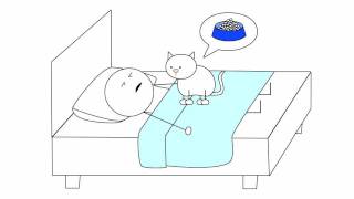 Cat Farts In Bed [upl. by Ettelrahc]