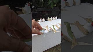 New Tiniest Bird Farm Amazing Birds Have Their Own Miniature Farm Safocreator [upl. by Ahras]