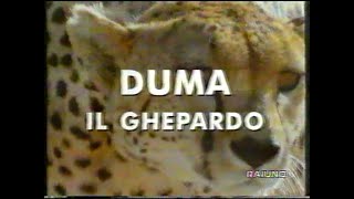 Il mondo di quark 9899 41143  Duma il Ghepardo 081298 [upl. by Sugden]