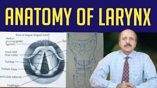 Larynx Anatomy  Cartilage of Larynx Anatomy  Dr Sultan Badar Munir [upl. by Meghann]