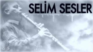 Selim Sesler  Ada Çiftetellisi ☆彡 [upl. by Hildebrandt]