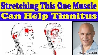 Stretching This One Neck Muscle Can Help Your Tinnitus  Dr Alan Mandell DC [upl. by Damara14]