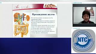 FitLine Basics Базовый комплекс для здорового пищеварения Доктор Галина Костина [upl. by Nicolau]