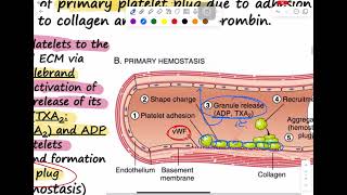 Hemostasis part 2 [upl. by Janine]