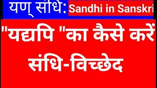 यद्यपि का संधि विच्छेद  Yan sandhi  यण् संधि संस्कृत में  Sandhi sanskrit grammaArunaKaliaa [upl. by Joshi692]