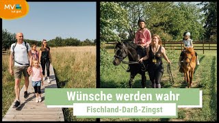 FischlandDarßZingst Urlaub für die ganze Familie  MecklenburgVorpommern  Ausflugstipps [upl. by Rebekkah]