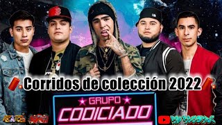 🧨grupo codiciado ❌mix corridos de coleccion 2022codiloco puros corridasos [upl. by Ronyam]