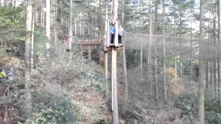 Tarzan Swing  Go Ape  Dalby Forest [upl. by Annairb]